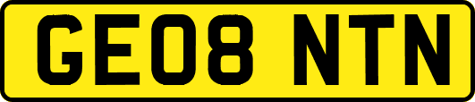 GE08NTN