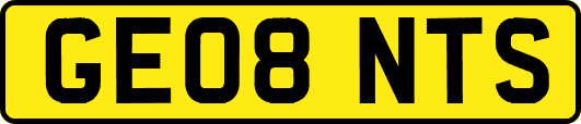 GE08NTS