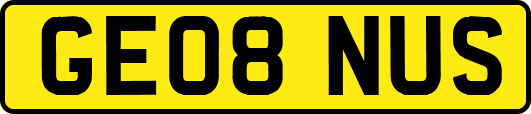 GE08NUS