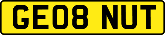 GE08NUT