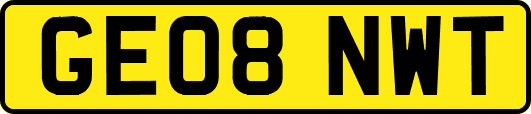 GE08NWT