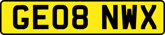 GE08NWX