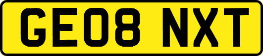GE08NXT