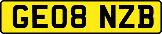 GE08NZB