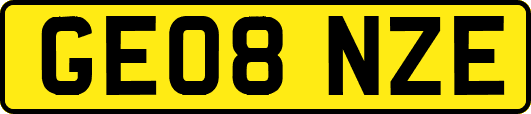 GE08NZE