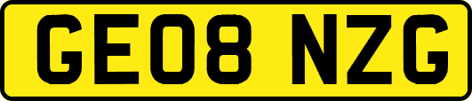 GE08NZG