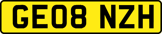 GE08NZH