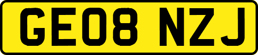 GE08NZJ