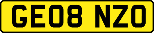 GE08NZO