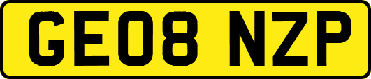 GE08NZP