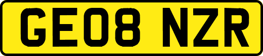 GE08NZR