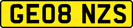 GE08NZS