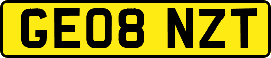 GE08NZT