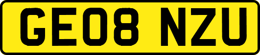 GE08NZU