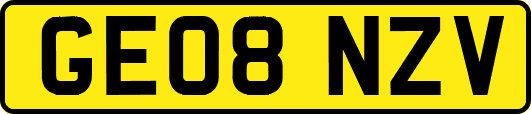 GE08NZV