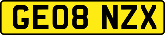 GE08NZX