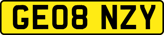 GE08NZY