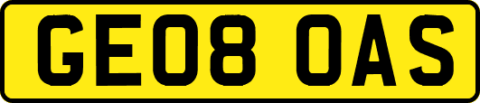 GE08OAS