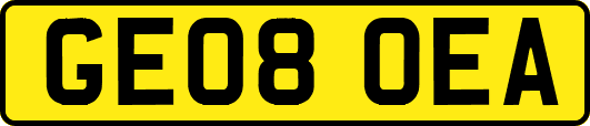 GE08OEA