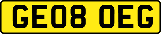 GE08OEG