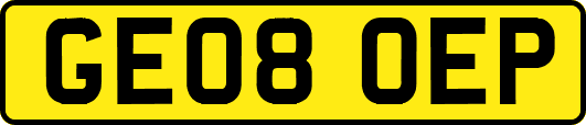 GE08OEP