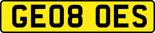 GE08OES