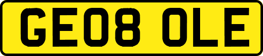 GE08OLE