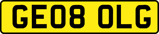 GE08OLG