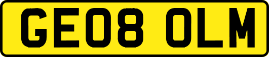 GE08OLM