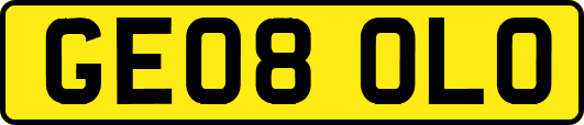 GE08OLO