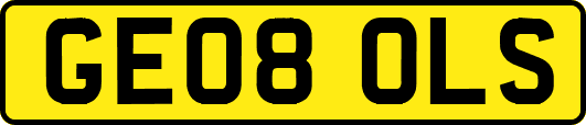 GE08OLS