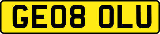 GE08OLU