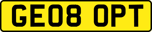 GE08OPT