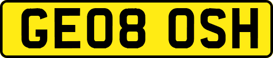 GE08OSH