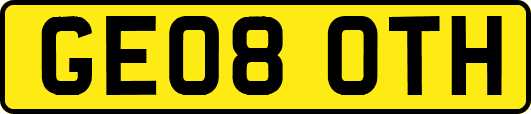 GE08OTH
