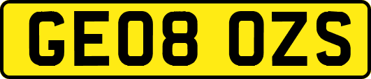 GE08OZS