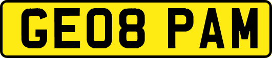 GE08PAM
