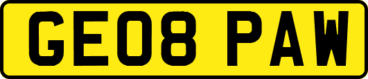 GE08PAW