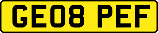 GE08PEF