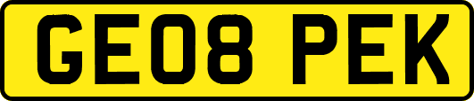 GE08PEK