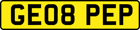 GE08PEP