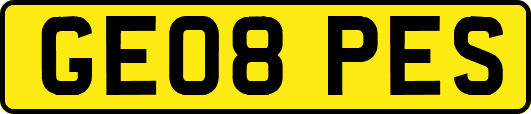 GE08PES