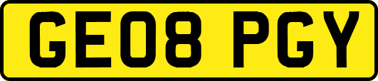 GE08PGY