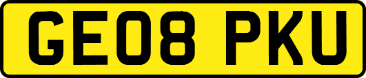 GE08PKU