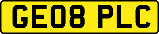 GE08PLC