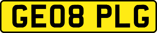 GE08PLG