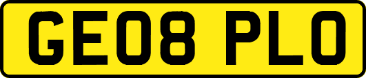 GE08PLO
