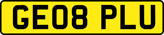 GE08PLU