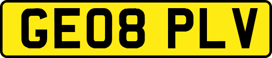 GE08PLV