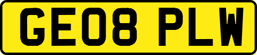 GE08PLW